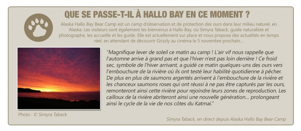 Hallo Bay
