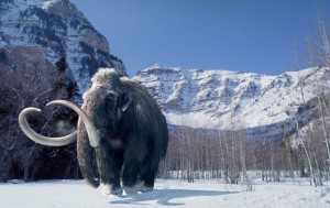 Woolly-Mammoth-5